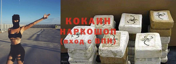 хмурый Абаза
