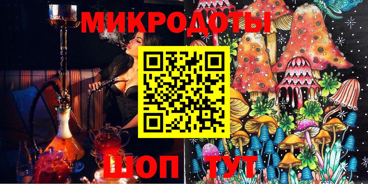 Псилоцибиновые грибы Psilocybe Сочи