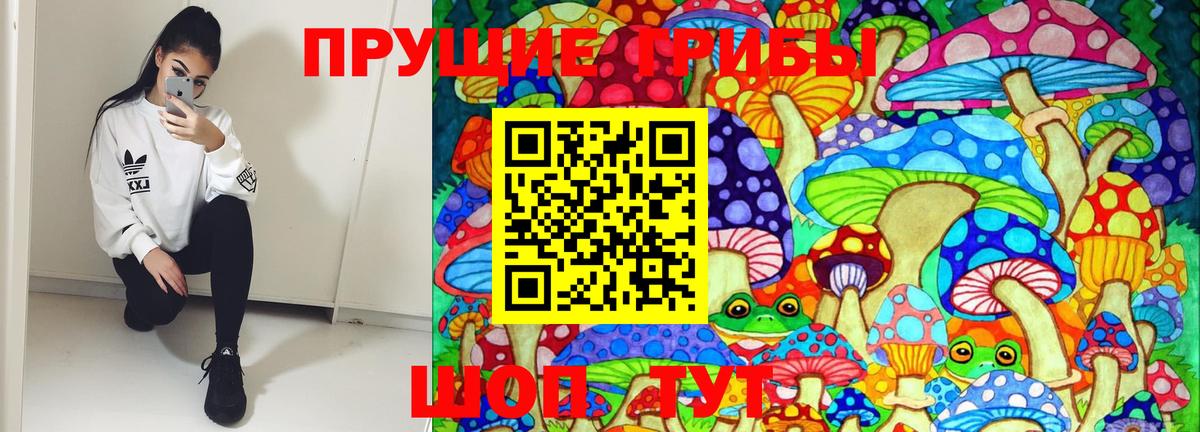 Сочи  Псилоцибиновые грибы Psilocybe  Вход с VPN 